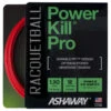 Ashaway PowerKill Pro 16 1.30mm Racquetball Set -Ball Sports Store ashaway powerkill pro 16 1 30mm racquetball set 55760 52115.1698771757