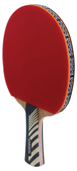 Karakal KTT-200 Standard 2* Table Tennis Bat