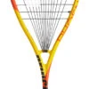 Prince Phoenix Elite 700 Squash Racquet