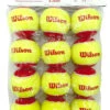 Wilson Starter Red Tennis Balls Dozen -Ball Sports Store wilson starter red tennis balls dozen 17281 09835.1698769436
